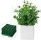 12 Pieces Floral Foam Cage Rectangle Flower Cage Holders with Floral Foam Flower Arrangement Supplies for Fresh Flowers Wedding Decorations 4.3 x 4.3 x 3.5 Inch